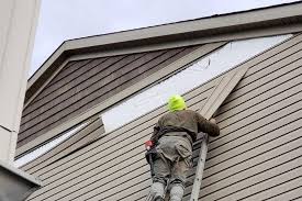 Best Siding for New Construction  in Biggs, CA